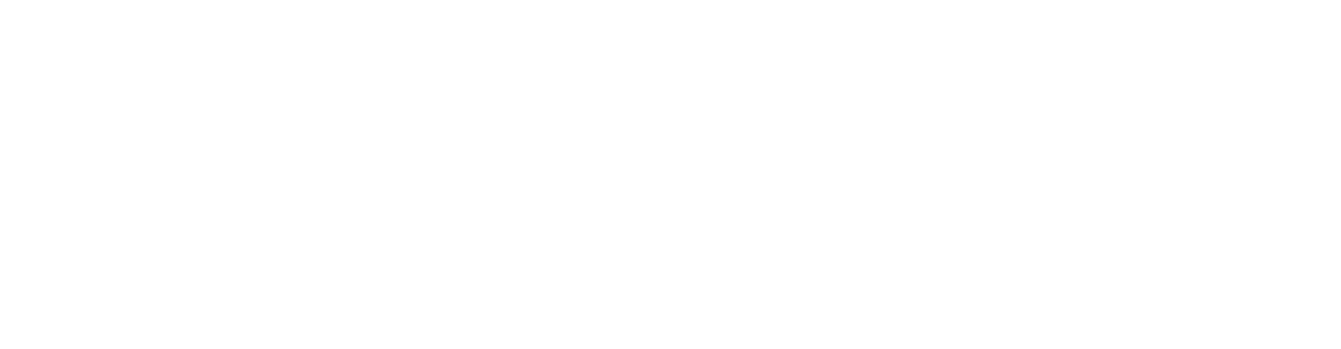 Fansly Logo